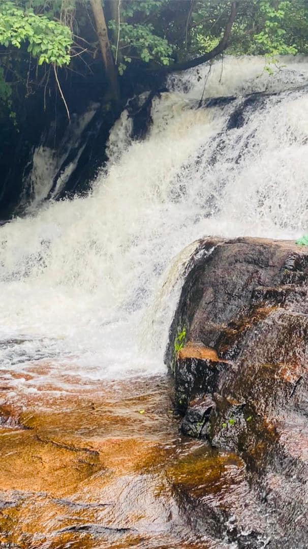 Cascades et pont de lianes de Man en Côte d’Ivoire : un paysage naturel unique